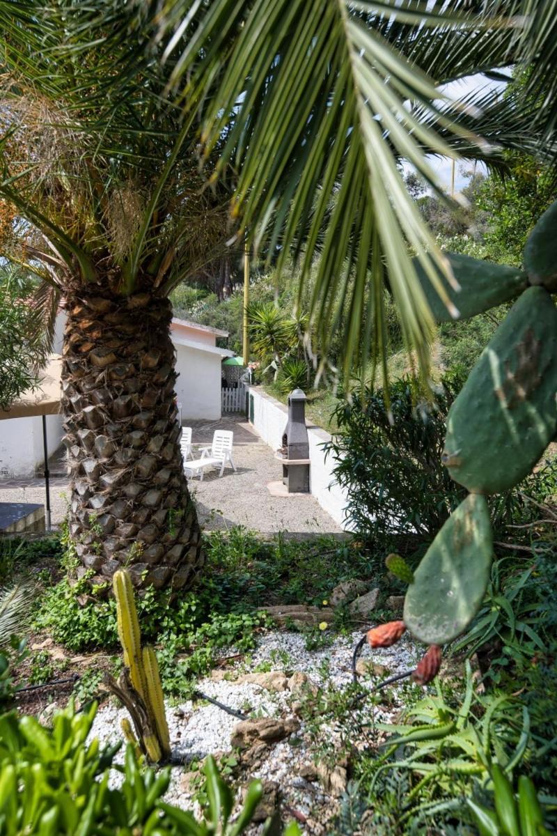 Alloggi Del Mirto A Morcone - Goelba กาโปลิเวรี ภายนอก รูปภาพ