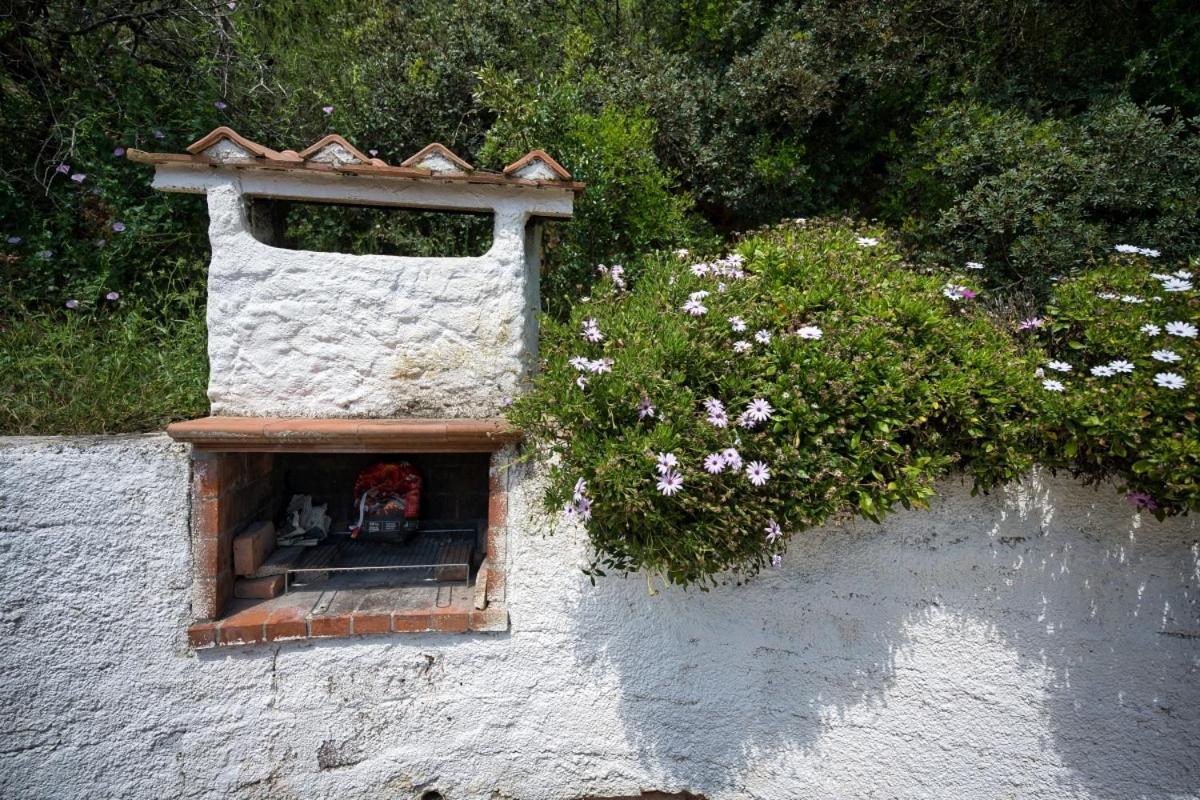 Alloggi Del Mirto A Morcone - Goelba กาโปลิเวรี ภายนอก รูปภาพ